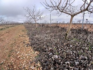 Terreno en venta en Argamasilla de Alba