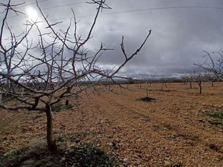 Terreno en venta en Argamasilla de Alba