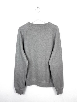 Sudadera Champion Retro Bordada Oversize Y2K Gris