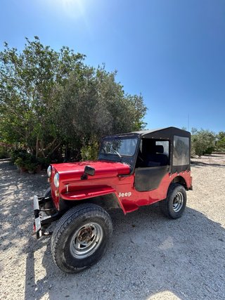 Jeep Willys 1980