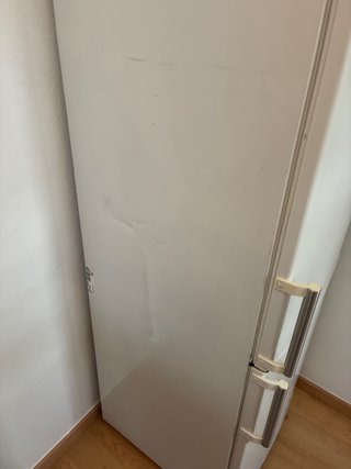 Frigorífico Siemens con Congelador