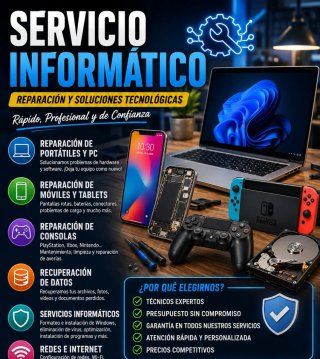 SERVICIO INFORMÁTICO PROFESIONAL