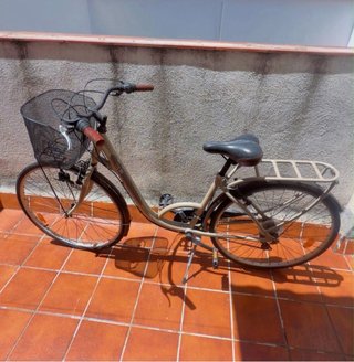 Bicicleta Paseo Mujer Cesta Delantera
