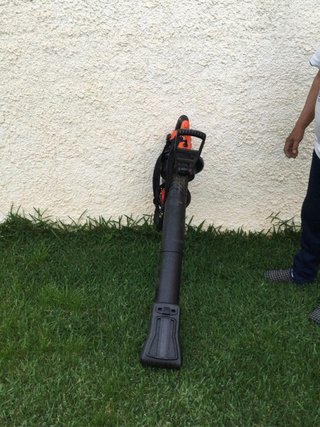Aspirador triturador y soplador Black+Decker
