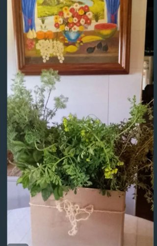 Cesta 4 Aromáticas