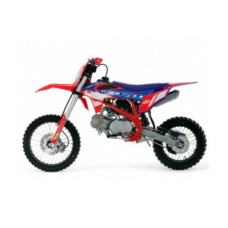 Pit Bike Dorado Storm 125cc 4T Manual
