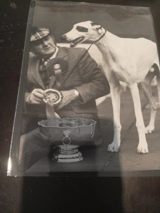 Fotos vintage