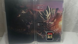 Monster Hunter Rise Nintendo Switch