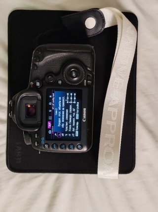 Canon 5D Mark III + Flash