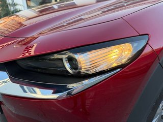 Mazda CX-30 2.0 Skyactiv-X Evolution 2WD 137 kW (186 CV)