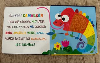 ¿Quieres tocar a un erizo?