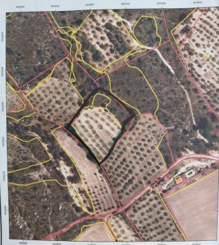 Terreno agrícola con olivos, Cantallops (Girona)