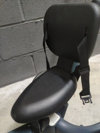 Triciclo Evolutivo Gyro