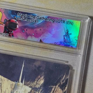 Magic The Gathering LOTR Graduata 10