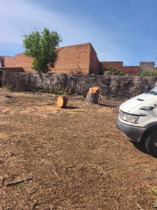 Se limpian parcelas hacemos vaciados