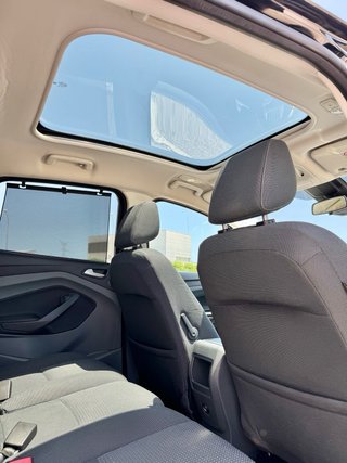 Ford C-MAX 150cv 1.6