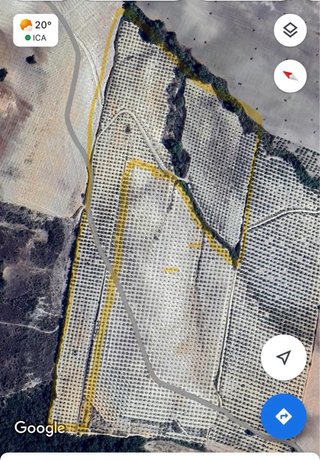 Terreno de secano en venta en Montellano