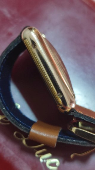 Reloj Le Duc Dorado y Marrón