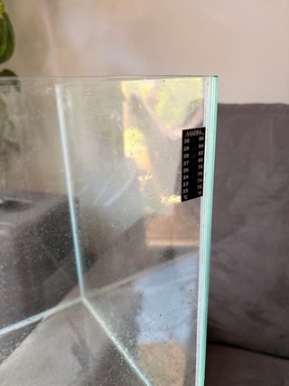 Pecera grande con luz