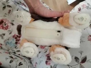 Peluche cane animato.