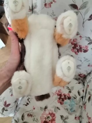 Peluche cane animato.