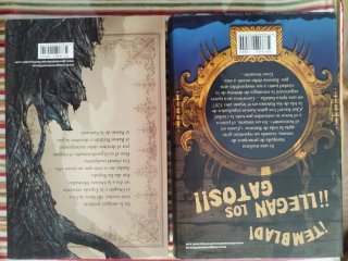 Lote de dos libros de Gerónimo Stilton