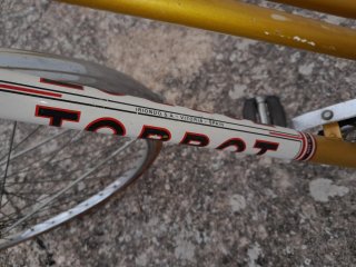 Bicicleta Vintage Torrot Dorada