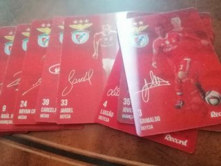 Cromos Jornal Record SCP Coleção