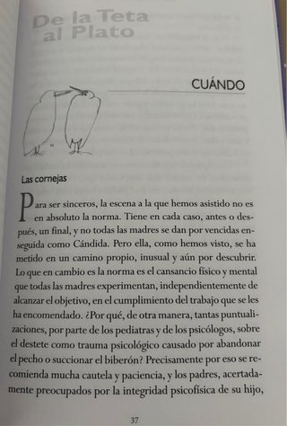 3 Libros INGLÉS Alimentación Infantil y BLW
