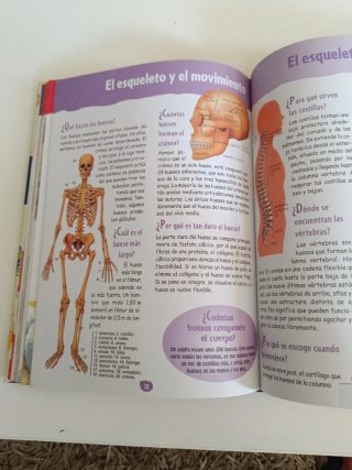 Gran libro de el porqué de las cosas