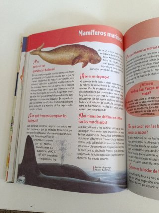 Gran libro de el porqué de las cosas