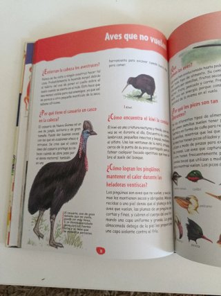 Gran libro de el porqué de las cosas