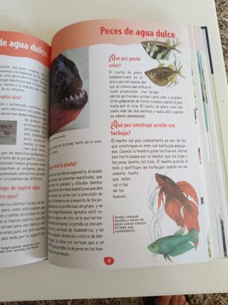 Gran libro de el porqué de las cosas