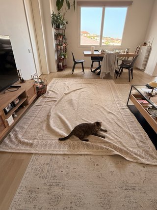 Alfombra Zara Home Block Print 200x300