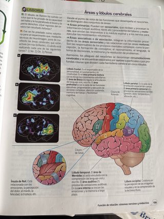 Biología y geología, 3 ESO, Volumen1,2 y 3