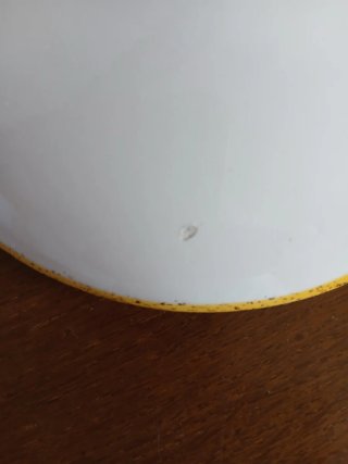 Zuppiera o centrotavola con girasoli