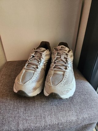 Nike Air Max Moto 2K Beige/Gris