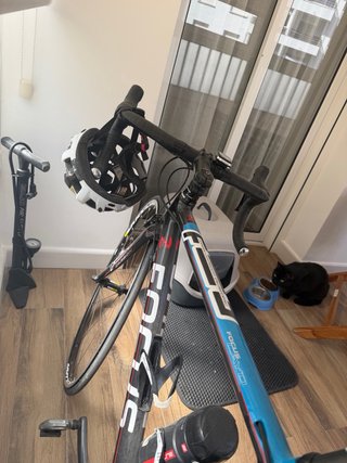 Bicicleta Focus Cayo Carbono Shimano 105