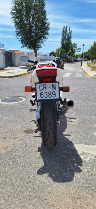 Honda CBR 600 F2 Sportbike Roja y Blanca