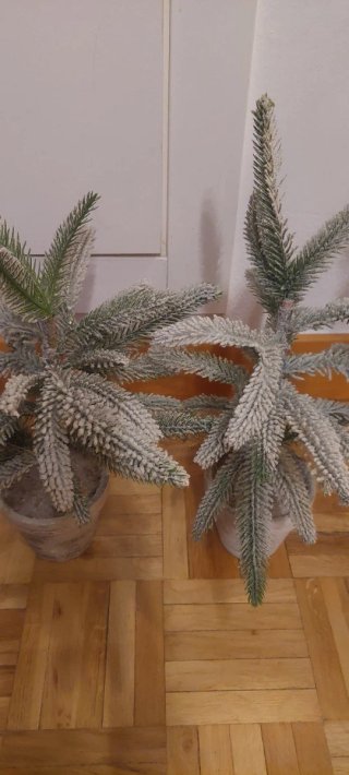 2 Piccoli Alberi di Natale Decorati