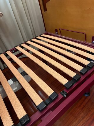 2 Camas articuladas individuales + colchones