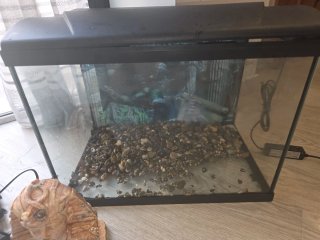 Acuario marca aqua en perfecto estado