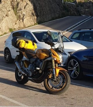 Honda hornet  600