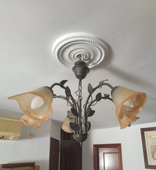 Lámparas de techo forja y tulipas