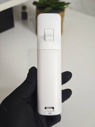 Controller + Nintendo Wii Game