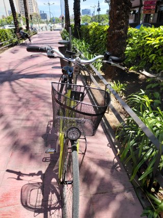 Bicicleta Calidad Bianchi Urbana Clásica