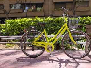 Bicicleta Calidad Bianchi Urbana Clásica