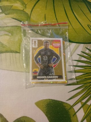 Cromos Moisés Caicedo Extra Sticker Oro