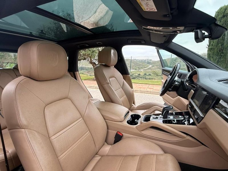Porsche Cayenne 2019, foto 19