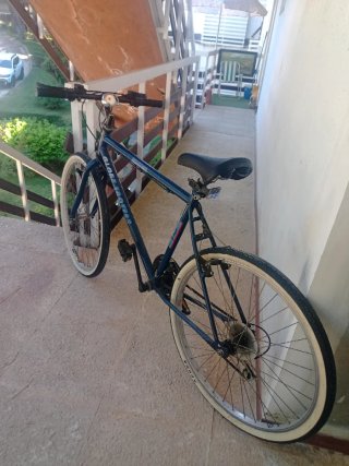 Bicicleta Vintage Azul
